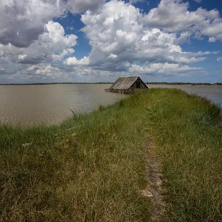 Apartman Pascoli 21/a