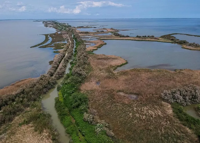 Pascoli 21/a Apartment Ravenna