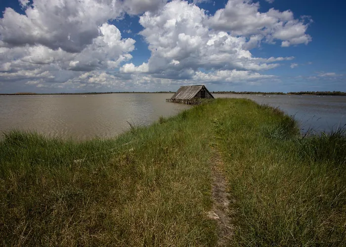 Apartment Pascoli 21/a